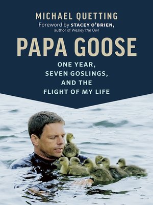 Papa Goose - ebook